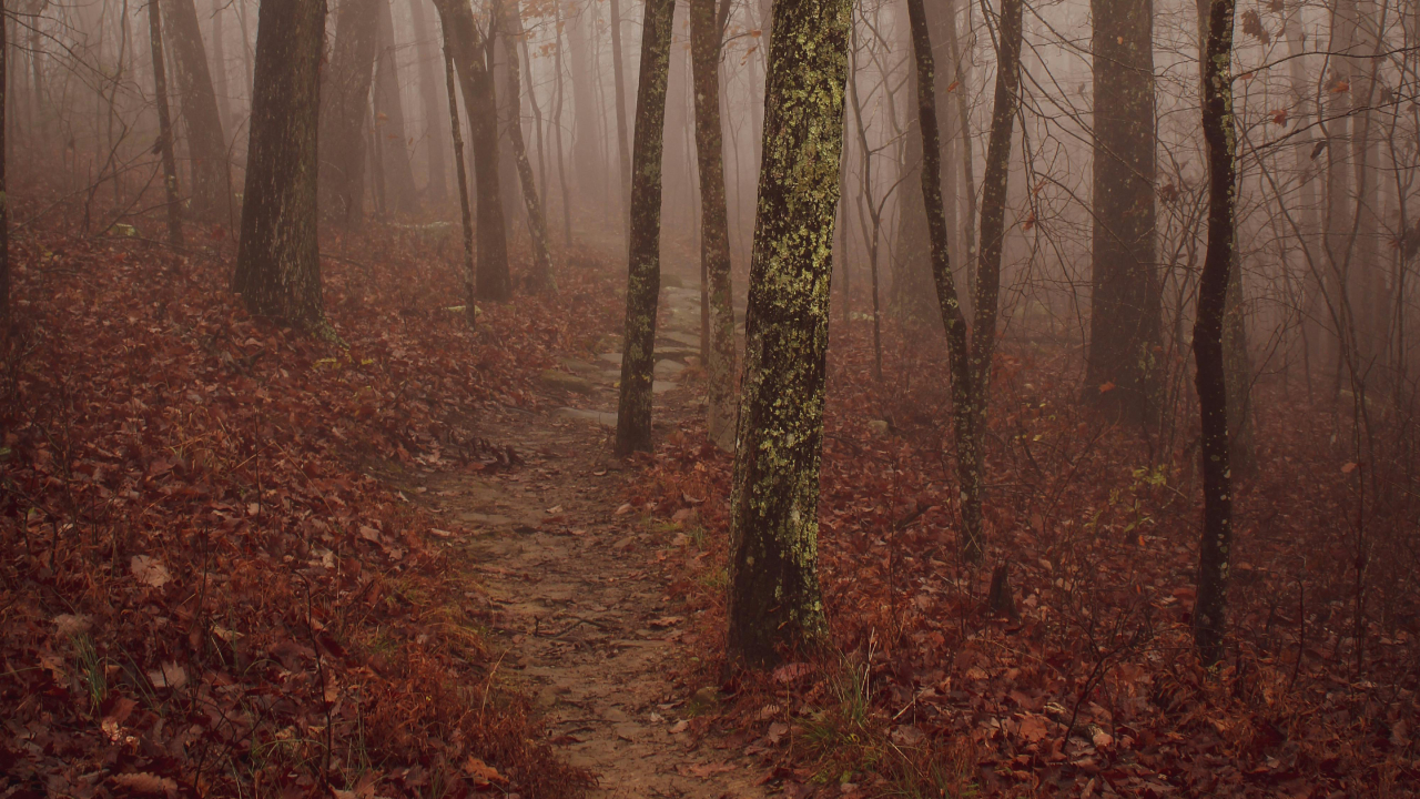 Soledad No Deseada Andalucía Turismo