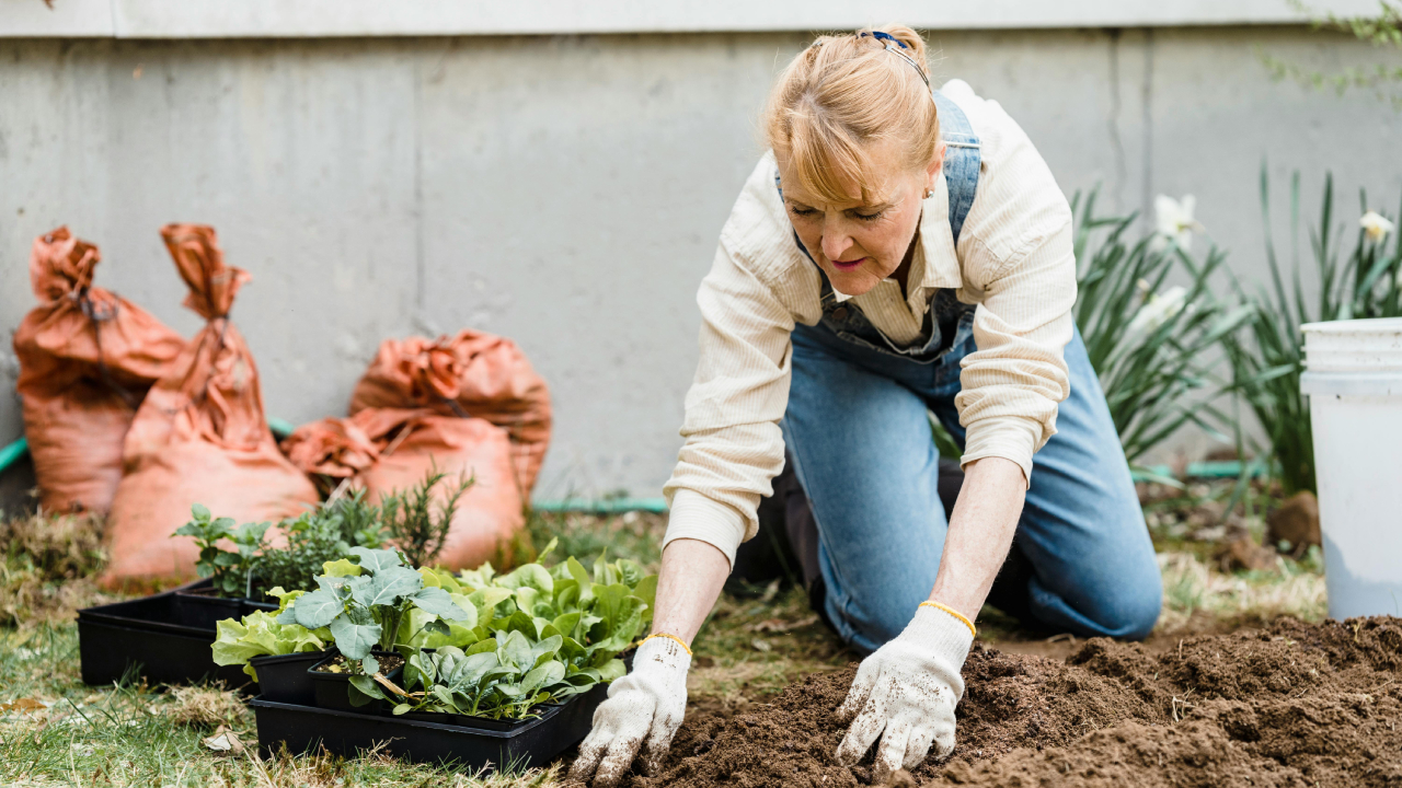 Soledad No Deseada Andalucía Vuela