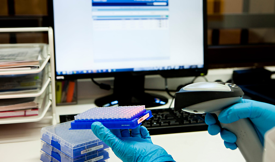 Andalucía lidera 31 proyectos de investigación sobre Alzheimer